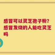 感冒可以灵芝孢子粉？感冒发烧的人能吃灵芝吗