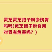 灵芝灵芝孢子粉会伤胃吗吗(灵芝孢子粉食用对胃有危害吗？)