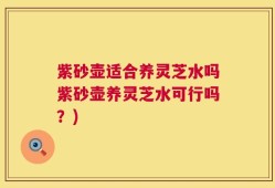 紫砂壶适合养灵芝水吗紫砂壶养灵芝水可行吗？)
