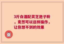 3斤白酒配灵芝孢子粉，竟然可以这样操作，让你想不到的效果