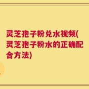 灵芝孢子粉兑水视频(灵芝孢子粉水的正确配合方法)