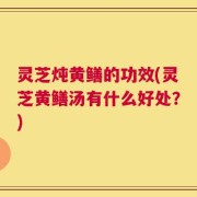 灵芝炖黄鳝的功效(灵芝黄鳝汤有什么好处？)