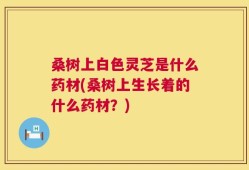 桑树上白色灵芝是什么药材(桑树上生长着的什么药材？)