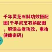 千年灵芝石斛功效搭配图(千年灵芝石斛配图，解读古老功效，重拾健康密码)
