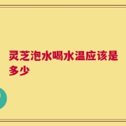 灵芝泡水喝水温应该是多少