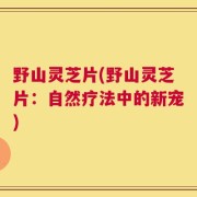 野山灵芝片(野山灵芝片：自然疗法中的新宠)
