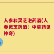 人参和灵芝泡药酒(人参灵芝药酒：中草药见神奇)