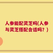 人参能配灵芝吗(人参与灵芝搭配合适吗？)