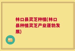 林口县灵芝种植(林口县种植灵芝产业蓬勃发展)