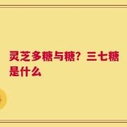 灵芝多糖与糖？三七糖是什么