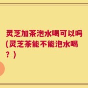灵芝加茶泡水喝可以吗(灵芝茶能不能泡水喝？)