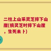 二柱上山采灵芝摔下山崖(摘灵芝时摔下山崖，生死未卜)