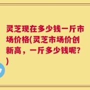 灵芝现在多少钱一斤市场价格(灵芝市场价创新高，一斤多少钱呢？)