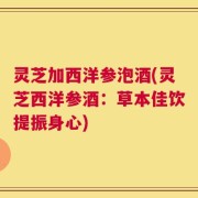 灵芝加西洋参泡酒(灵芝西洋参酒：草本佳饮提振身心)
