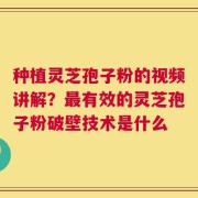 种植灵芝孢子粉的视频讲解？最有效的灵芝孢子粉破壁技术是什么