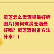 灵芝怎么煲酒喝最好呢图片(如何煮灵芝酒最好喝？灵芝酒制备方法分享！)