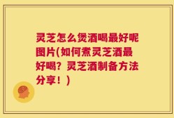 灵芝怎么煲酒喝最好呢图片(如何煮灵芝酒最好喝？灵芝酒制备方法分享！)