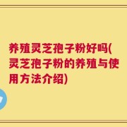 养殖灵芝孢子粉好吗(灵芝孢子粉的养殖与使用方法介绍)
