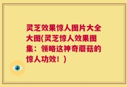 灵芝效果惊人图片大全大图(灵芝惊人效果图集：领略这神奇蘑菇的惊人功效！)