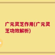 广元灵芝作用(广元灵芝功效解析)