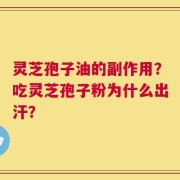 灵芝孢子油的副作用？吃灵芝孢子粉为什么出汗？