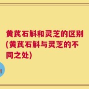 黄芪石斛和灵芝的区别(黄芪石斛与灵芝的不同之处)