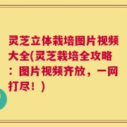 灵芝立体栽培图片视频大全(灵芝栽培全攻略：图片视频齐放，一网打尽！)