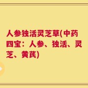 人参独活灵芝草(中药四宝：人参、独活、灵芝、黄芪)