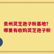 贵州灵芝孢子粉基地？哪里有收购灵芝孢子粉