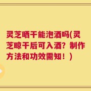 灵芝晒干能泡酒吗(灵芝晾干后可入酒？制作方法和功效需知！)