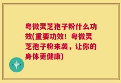 粤微灵芝孢子粉什么功效(重要功效！粤微灵芝孢子粉来袭，让你的身体更健康)