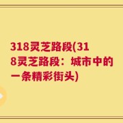 318灵芝路段(318灵芝路段：城市中的一条精彩街头)