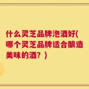 什么灵芝品牌泡酒好(哪个灵芝品牌适合酿造美味的酒？)