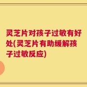 灵芝片对孩子过敏有好处(灵芝片有助缓解孩子过敏反应)