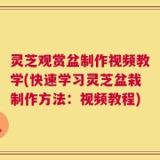 灵芝观赏盆制作视频教学(快速学习灵芝盆栽制作方法：视频教程)
