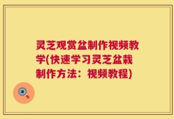 灵芝观赏盆制作视频教学(快速学习灵芝盆栽制作方法：视频教程)