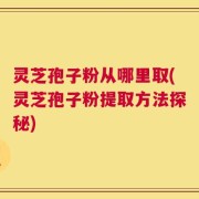 灵芝孢子粉从哪里取(灵芝孢子粉提取方法探秘)