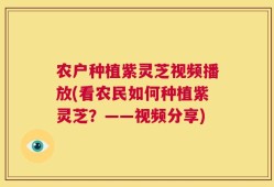 农户种植紫灵芝视频播放(看农民如何种植紫灵芝？——视频分享)