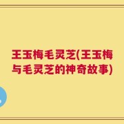 王玉梅毛灵芝(王玉梅与毛灵芝的神奇故事)