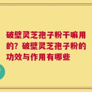 破壁灵芝孢子粉干嘛用的？破壁灵芝孢子粉的功效与作用有哪些