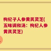枸杞子人参黄芪灵芝(五味调和汤：枸杞人参黄芪灵芝)
