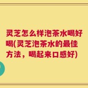 灵芝怎么样泡茶水喝好喝(灵芝泡茶水的最佳方法，喝起来口感好)