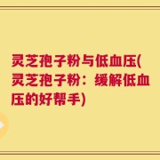 灵芝孢子粉与低血压(灵芝孢子粉：缓解低血压的好帮手)