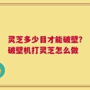 灵芝多少目才能破壁？破壁机打灵芝怎么做