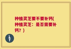 种植灵芝要不要补钙(种植灵芝：是否需要补钙？)