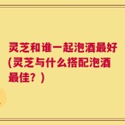 灵芝和谁一起泡酒最好(灵芝与什么搭配泡酒最佳？)