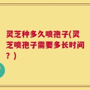 灵芝种多久喷孢子(灵芝喷孢子需要多长时间？)