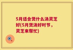 5月适合煲什么汤灵芝好(5月煲汤好时节，灵芝来帮忙)