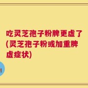 吃灵芝孢子粉脾更虚了(灵芝孢子粉或加重脾虚症状)