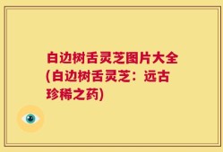 白边树舌灵芝图片大全(白边树舌灵芝：远古珍稀之药)